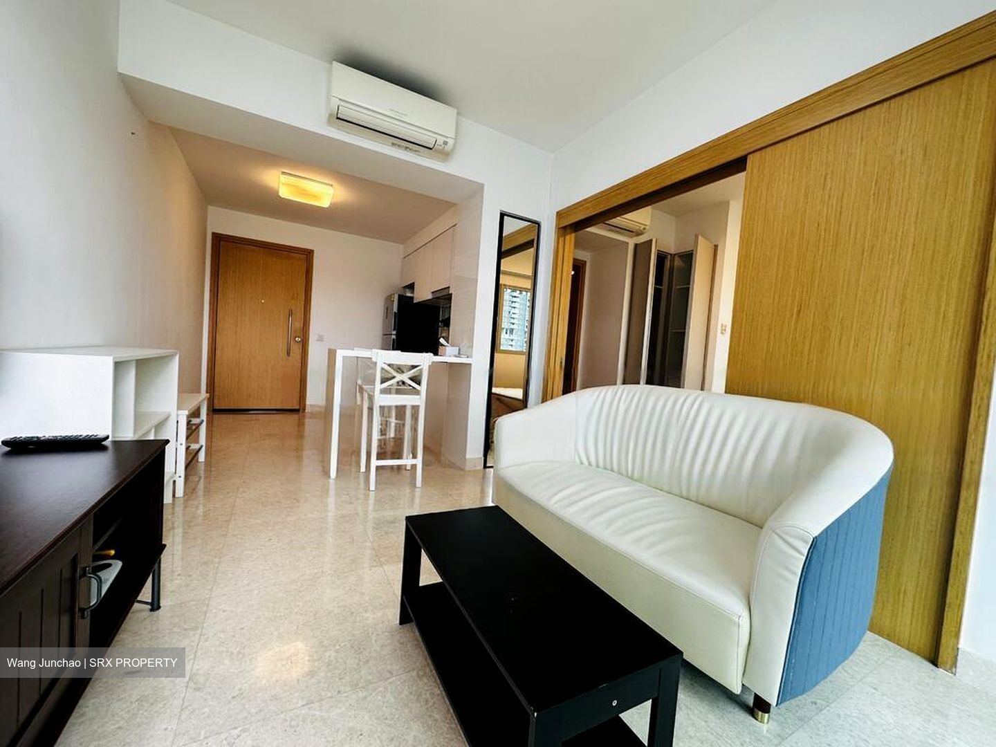 Eight Riversuites (D12), Condominium #496628641